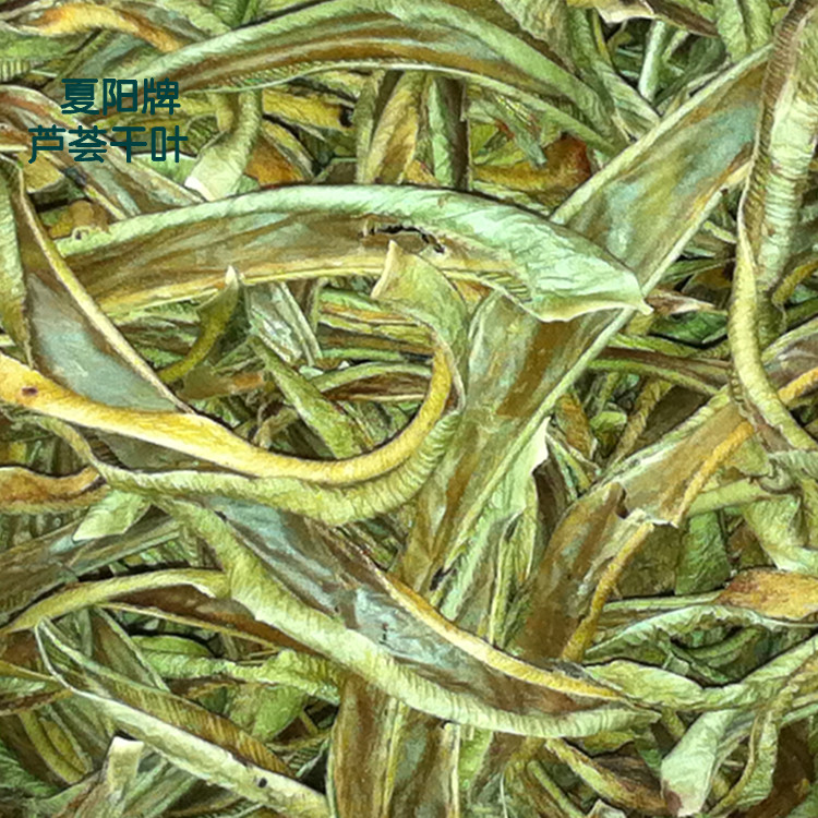 干芦荟泡水   芦荟干叶花茶的功效 芦荟烘干叶批发厂家