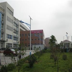 合丰工业大学太阳能路灯项目