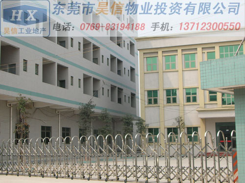 国有、集体两证东莞虎门厂房出售{dj2}抢先发布