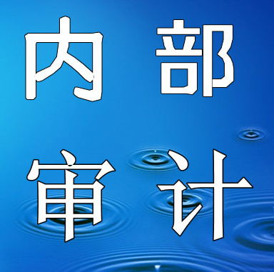 深圳离任审计哪里的好/深圳内部审计哪里的好