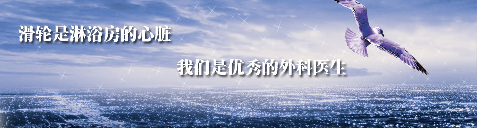 淋浴房滑轮厂家|不锈钢轴承滑轮