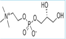 甘油磷脂酰胆碱