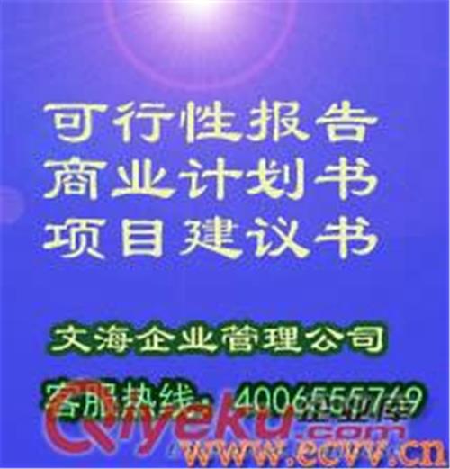 郑州文海可行性研究报告模板及说明
