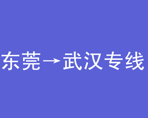 武汉专线往返