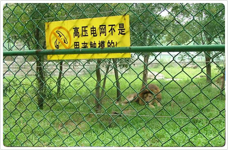 武汉体育场防护围栏/黄冈菱形勾花网价格/孝感活络网/襄阳篮球场防护栏