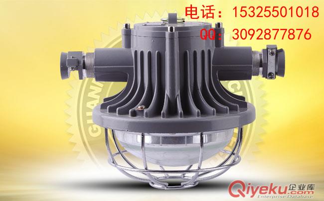 防爆灯具厂家ccd93
