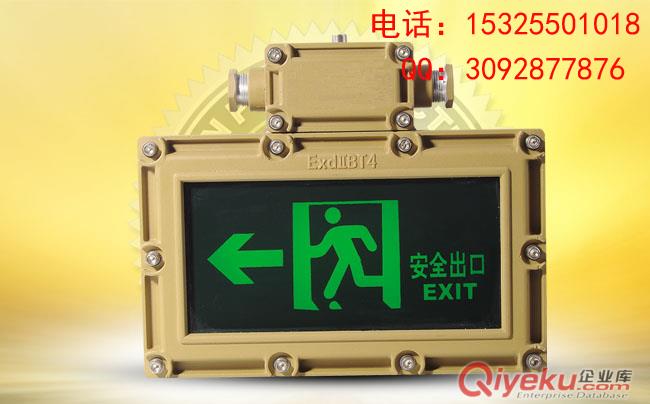 防暴灯ccd96