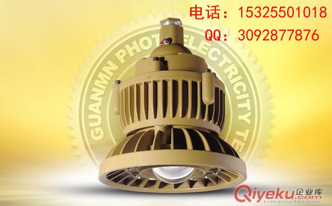 bsd965W防爆视孔灯