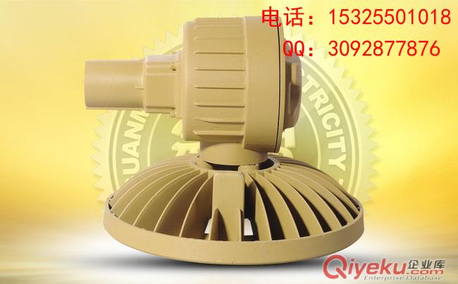 bsd96LED防爆射灯多颗