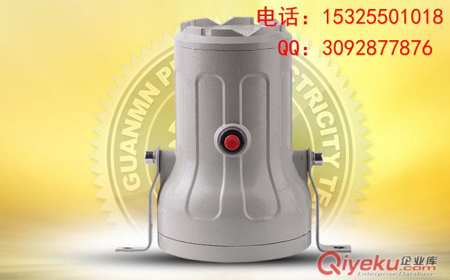 dc24v/IIC防爆声光报警器