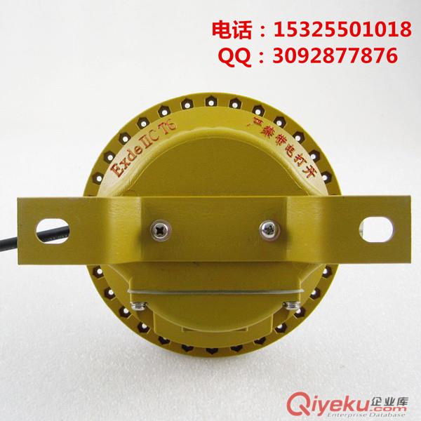 BFC8183100W防水防尘防震防眩灯