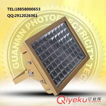 CCD97系列100w防爆路灯具