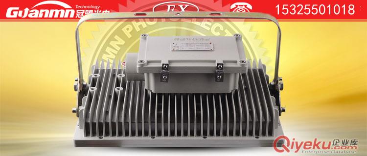 CCD97140wled防爆泛光灯具