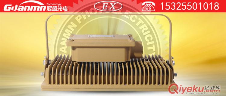 CCD97120wled防爆照明灯具