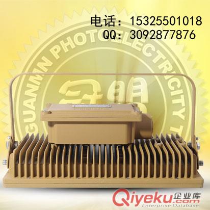 CCD97系列80w防爆照明灯
