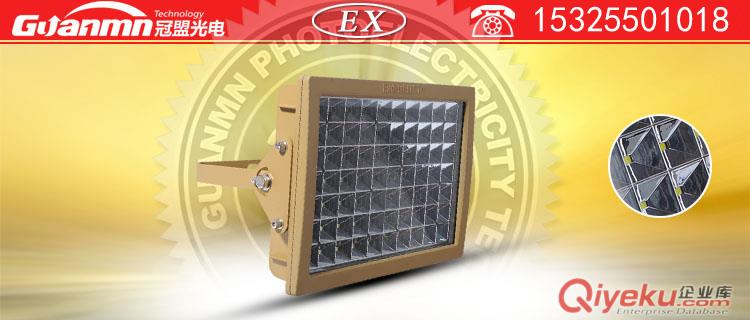 CCD97系列100w防爆led马路灯外壳