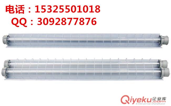 LED防爆双管全塑荧光灯
