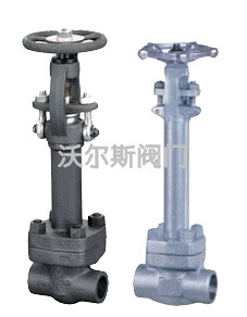 锻钢低温闸阀DZ61/41H/X销售厂家