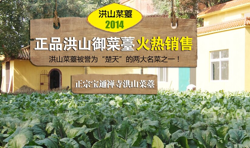 【洪山菜苔哪家好】宝通禅寺 特优农产品 福源优选