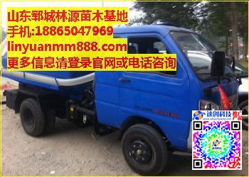 145吸污车,5吨吸污车,林源苗木(李经理)