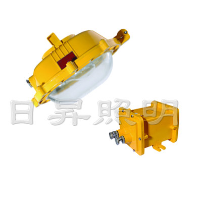 BFE8120内场防爆应急灯