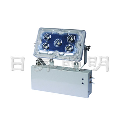 NFE9178应急低顶灯