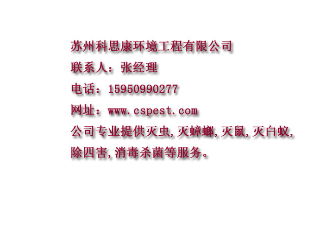 昆山灭鼠 昆山灭鼠公司 昆山灭鼠电话
