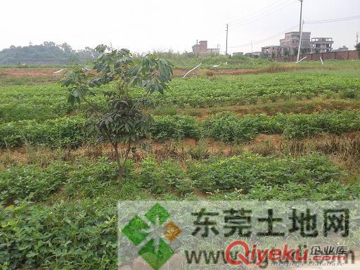 东莞寮步镇西溪大进工业园区国有证工业用地转让