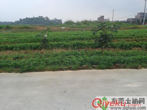 东莞麻涌工业园工业土地出售，土地面积20亩