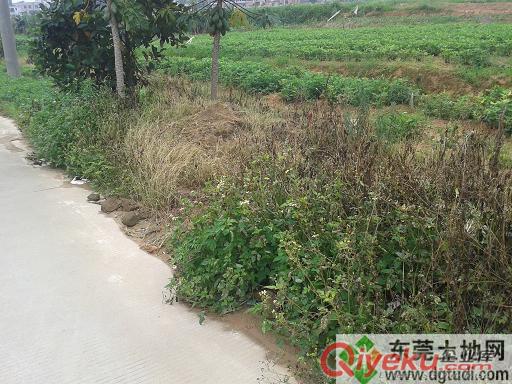 东莞寮步靠近松山湖华为高科技园附近工业土地出售
