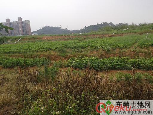 东莞大岭山工业用地出售，占地面积26亩