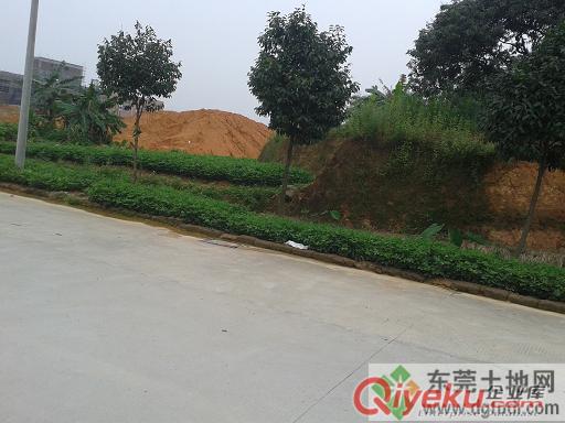 东莞大岭山工业地皮出售，占地面积62亩