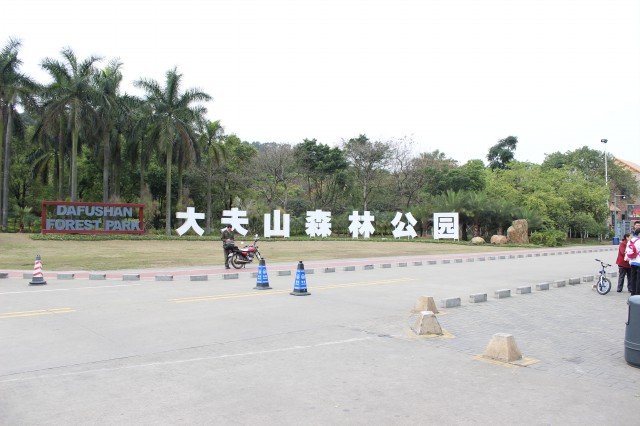 园区风景,大夫山烧烤场