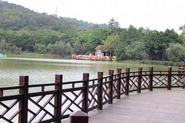 园区风景,大夫山烧烤场