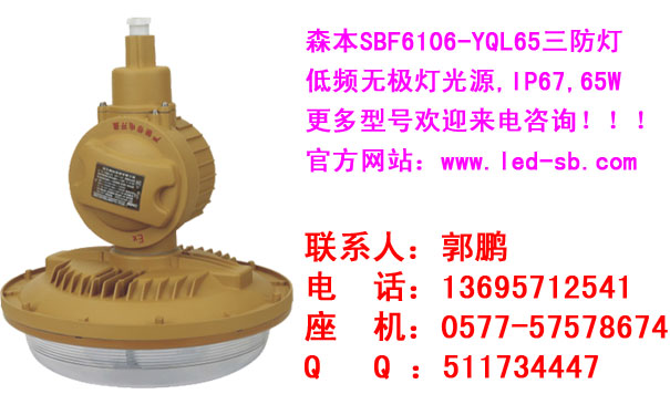 SBF6106-YQL65防爆无极灯