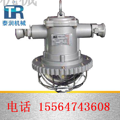     DGS18/127矿用隔爆型led巷道灯