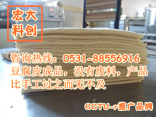 豆制品加工设备多少钱|豆制品加工设备生产厂家：0531-88556916