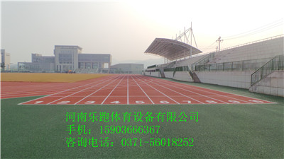 供应开封优质塑胶运动跑道10mm，SJ-13