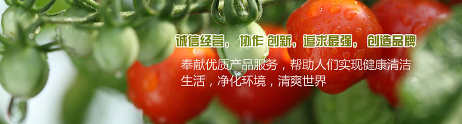 广州泰成生化科技有限公司