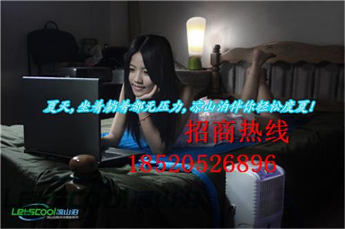 邢台市 水床垫 空调扇水冷毯厂家 夏季清凉床垫