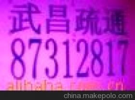 武昌疏通抽粪中北路管道疏通 水果湖疏通东亭疏通岳家嘴疏通