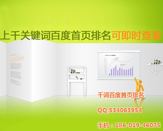 网站优化软件、关键词排名软件、百度排名推广软件