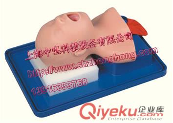 ZH-2C高級嬰兒氣管插管訓(xùn)練模型，嬰兒氣管插管模型