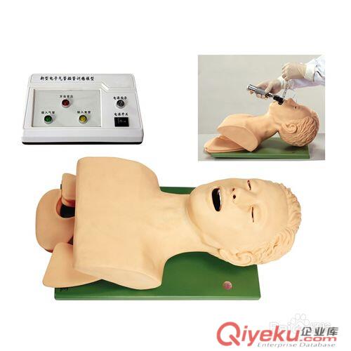 ZH/J50高級氣管插管訓練模型，帶解剖成人氣管插管模型原始圖片2