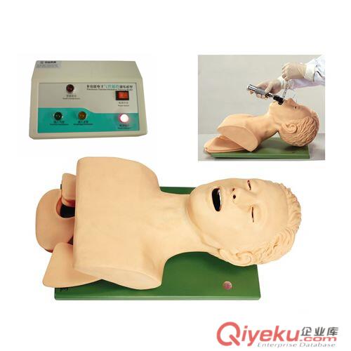 ZH/5S電子人體氣管插管訓(xùn)練模型，人體氣管插管模型原始圖片2