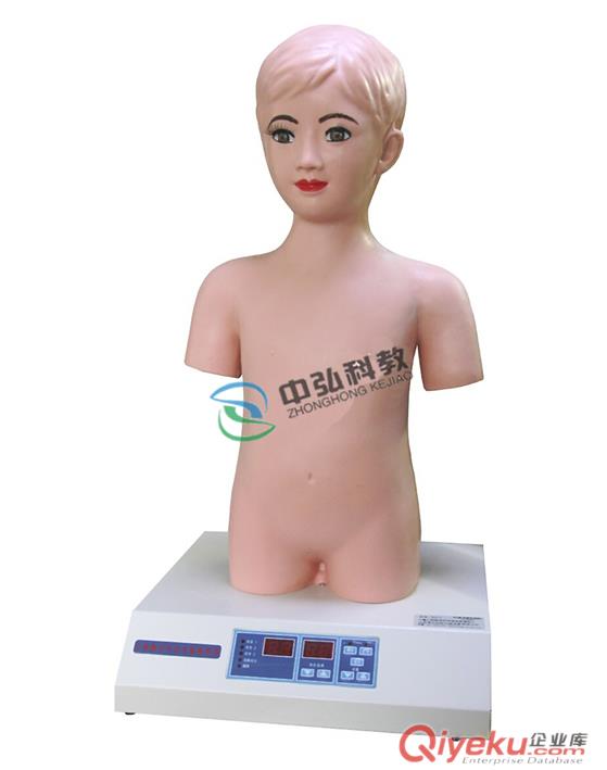 中弘科教骨髓穿刺訓(xùn)練模型，ZH/GS骨髓穿刺訓(xùn)練模型人