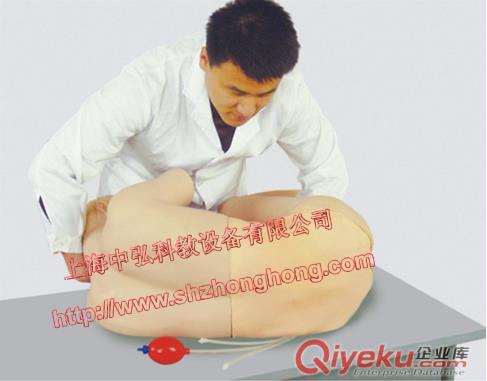 成人腰椎穿刺仿真標準化病人，中弘科教腰椎穿刺模型人原始圖片3