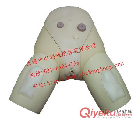 中弘透明男性導尿模型、男性透明導尿模型、導尿教學模型