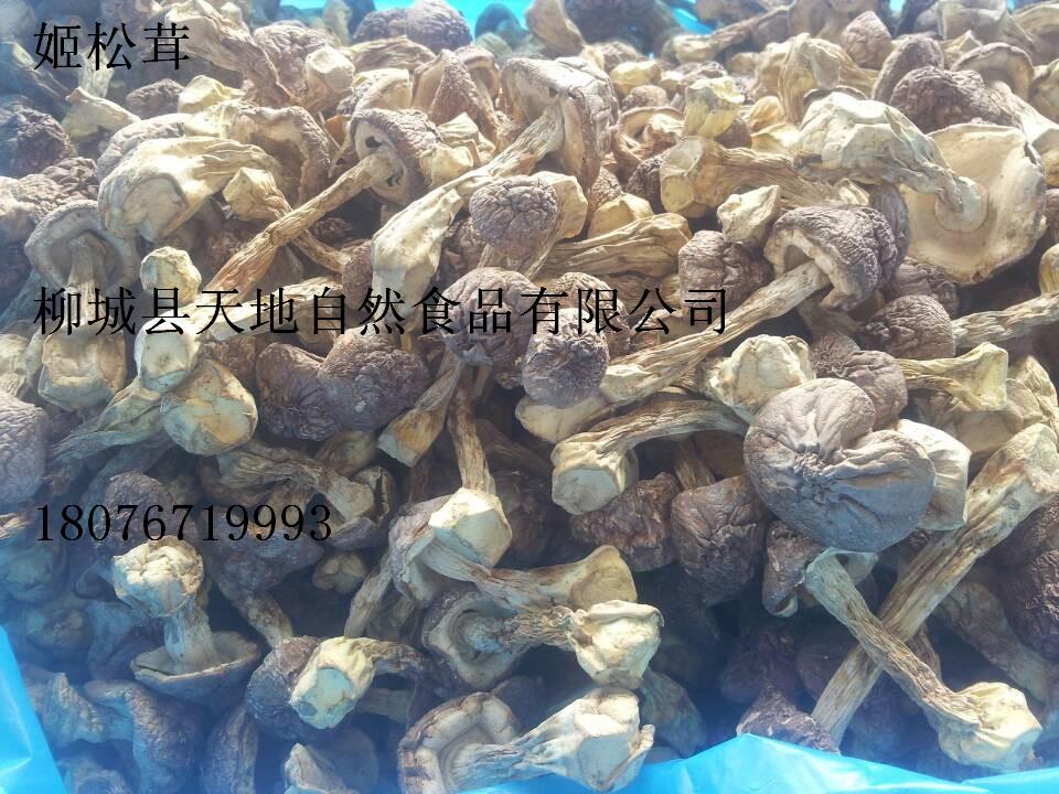 姬松茸，巴西蘑菇，竹筍干