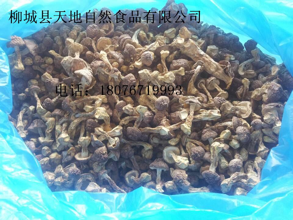 姬松茸，巴西蘑菇，竹筍干